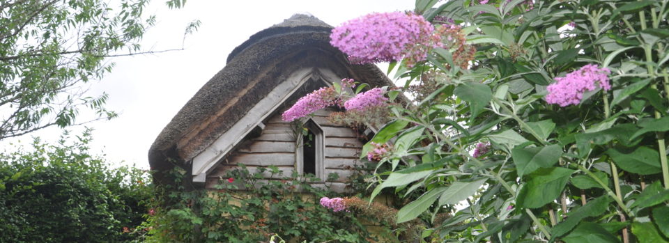 Rosemoregarden England